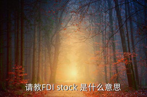 请教FDI stock 是什么意思